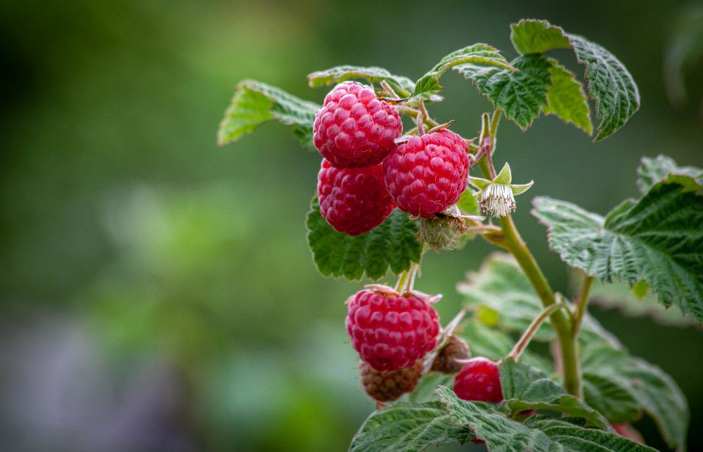 Photograph by Толян Бууулочкин