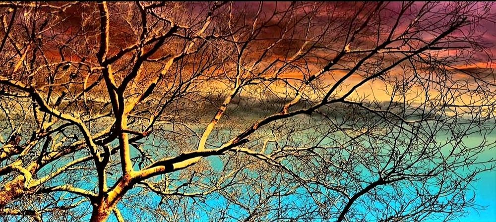 Фотография автора Nancy Thompson