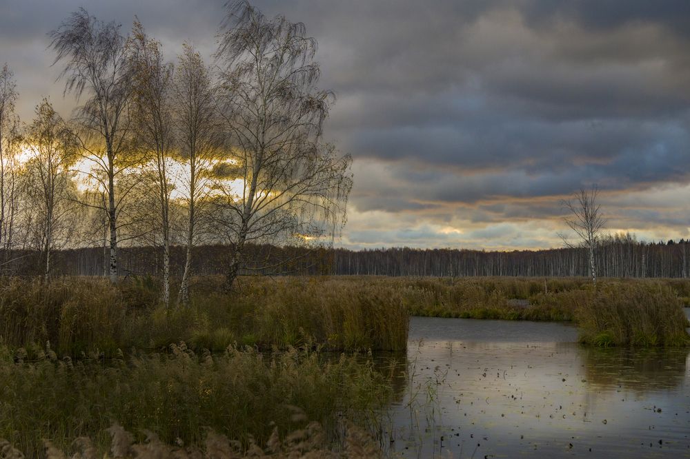 Минута до дождя