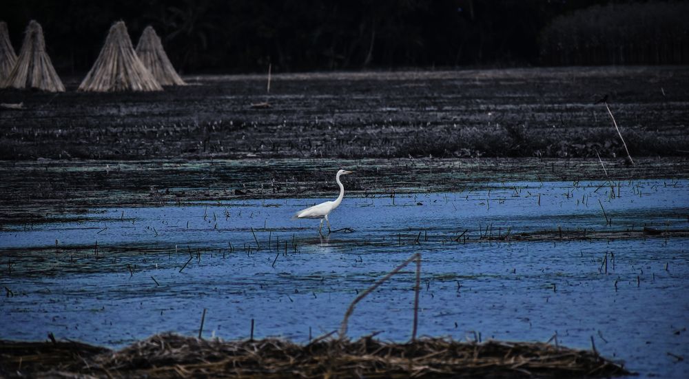 Photograph by Subhadip Kanjilal