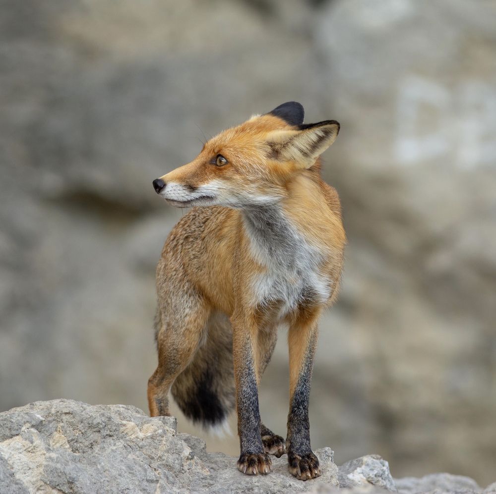 Photograph by Dyakon Zhora