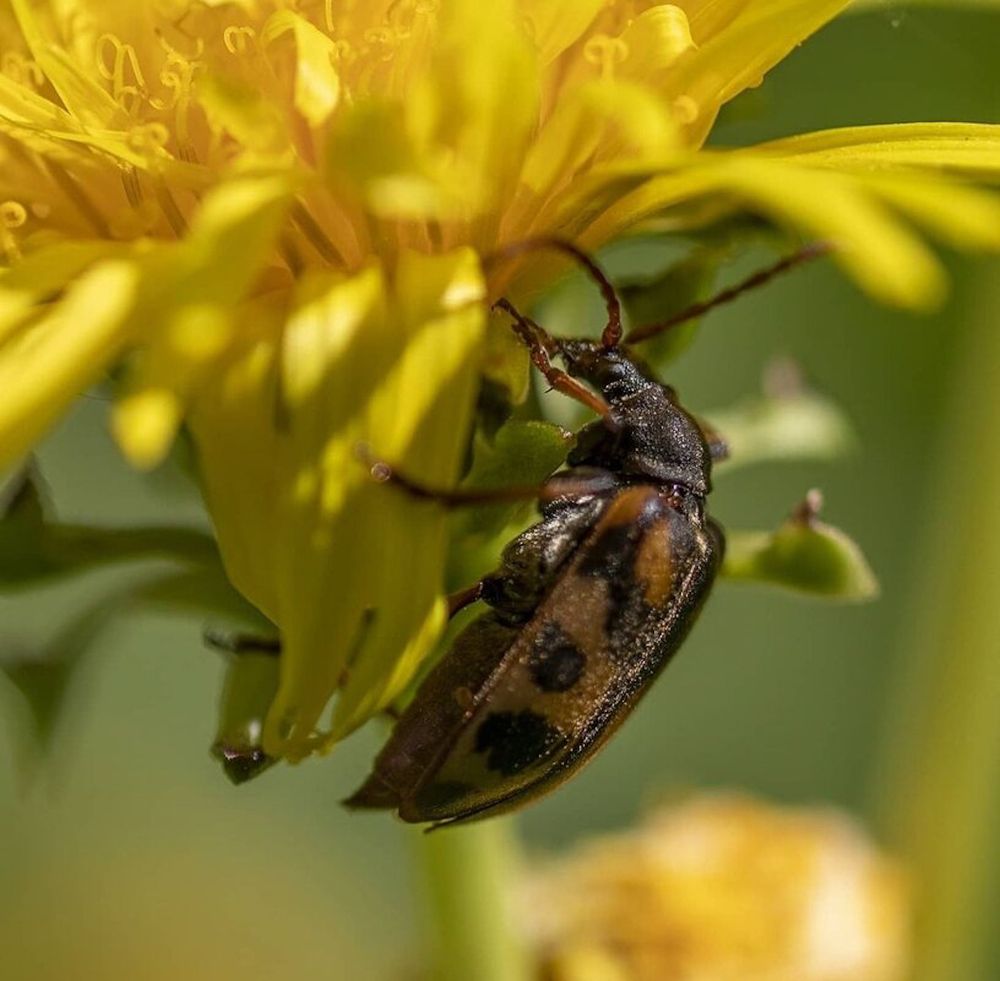 Photograph by Мария Овсечук