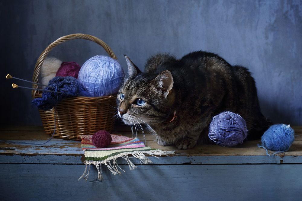 Фотография автора Tatyana Karachkova