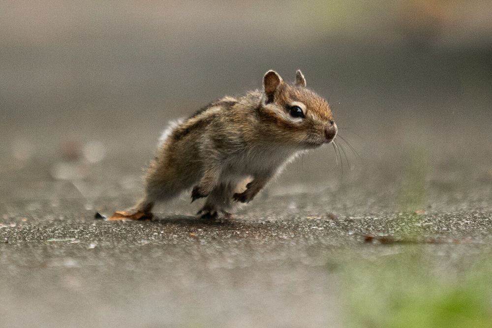 Photograph by Мария Овсечук