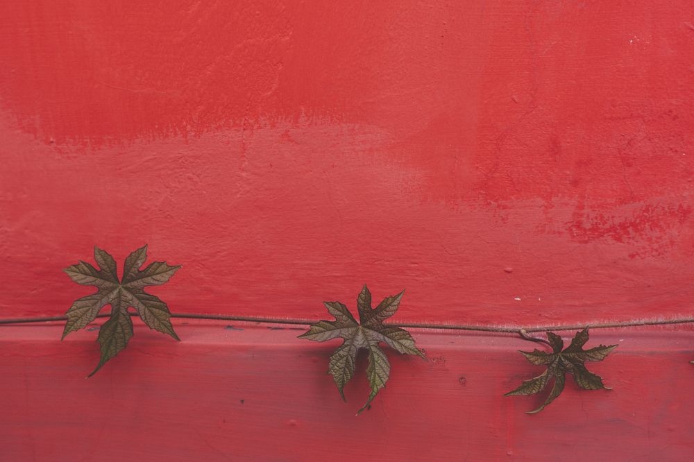 Photograph by dito adithia