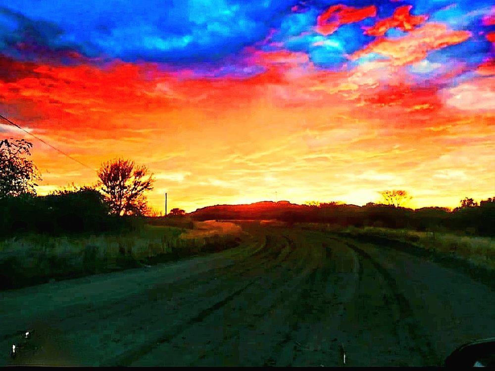 Фотография автора Nancy Thompson