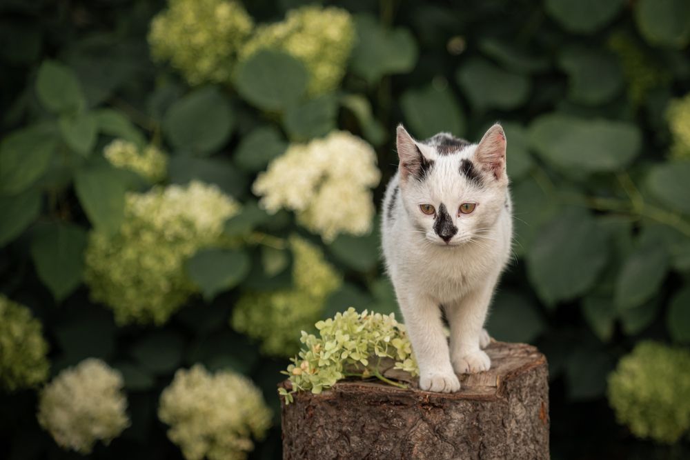 Photograph by Мария Купревич