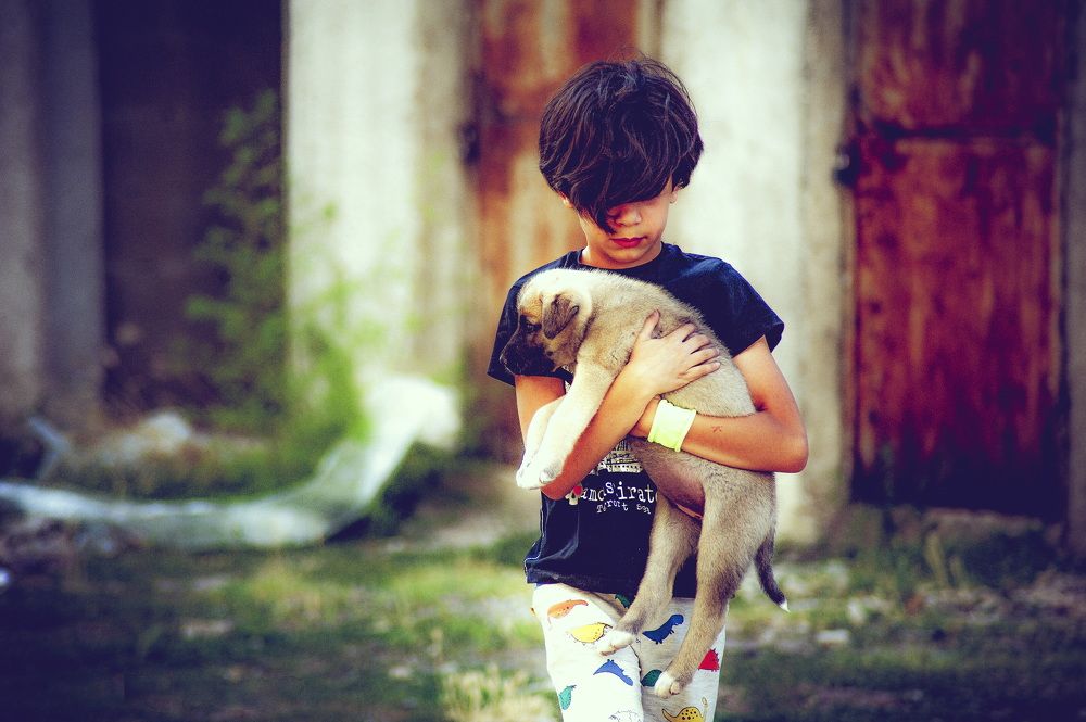 Photograph by DAMOUN POURNEMATI