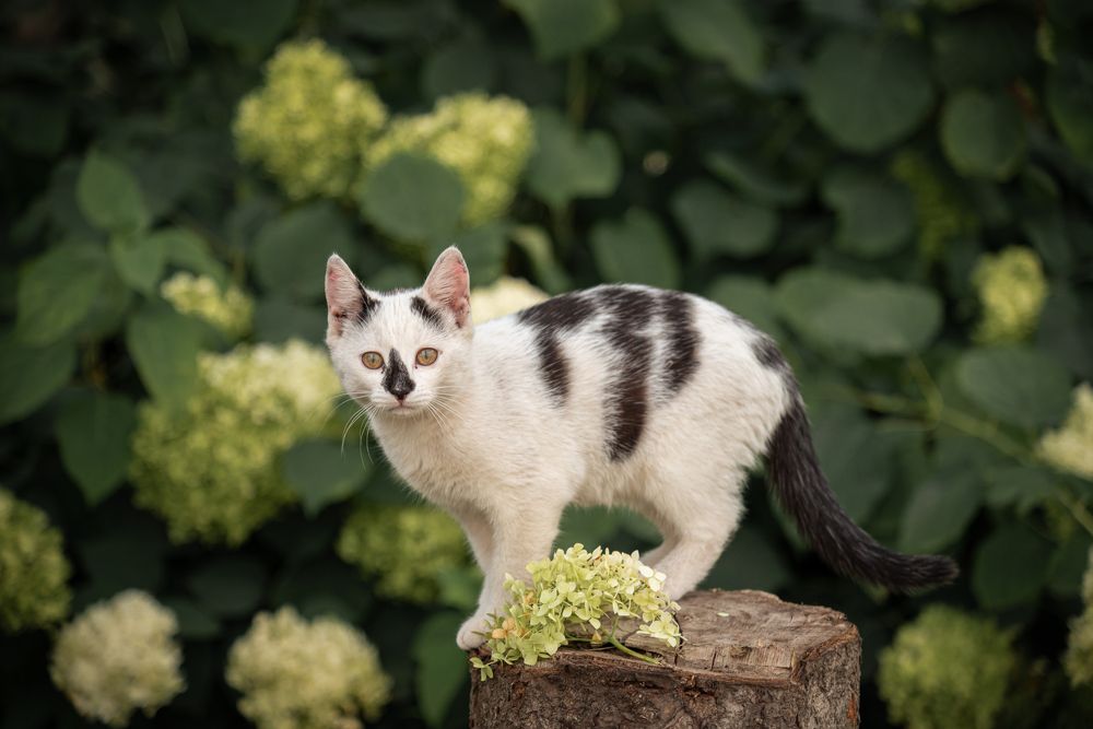 Photograph by Мария Купревич