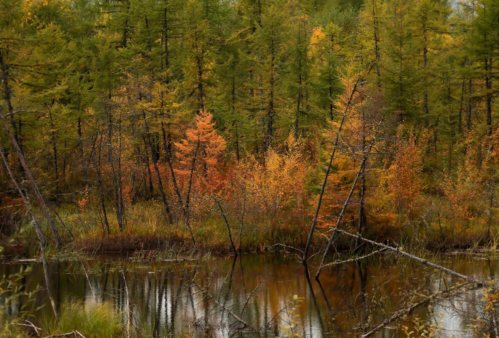 Photograph by Мария Овсечук