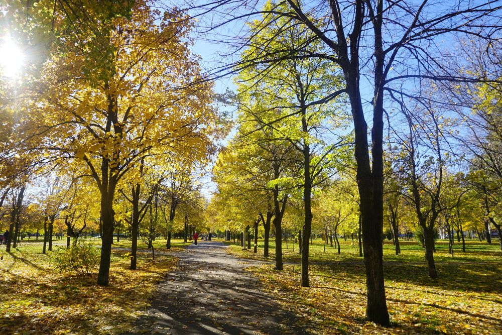 Photograph by Елена Гергель