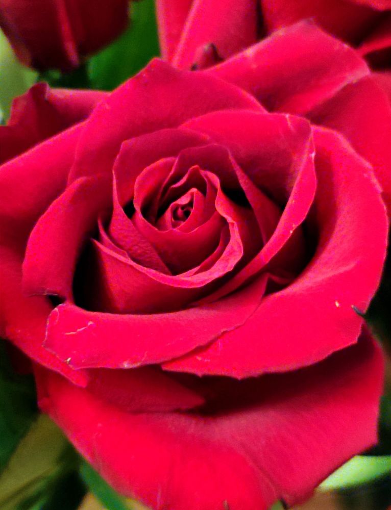 Photograph by Надежда