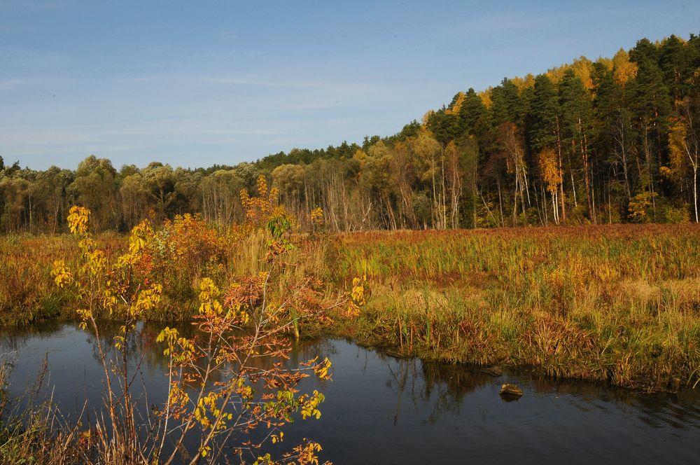 Photograph by Владимир