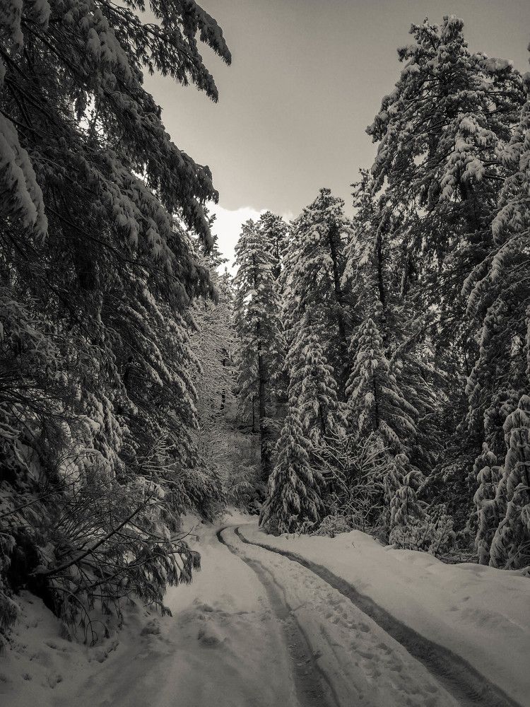 Photograph by Ahmad Bilal Cheema