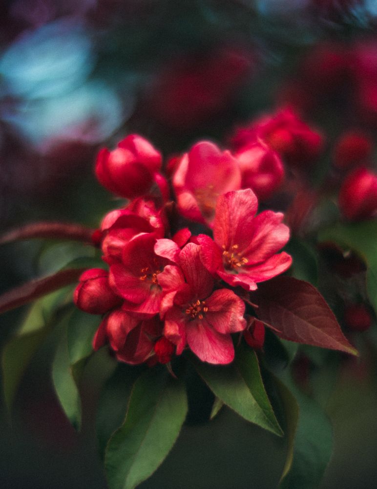 Photograph by Сергеева Марина