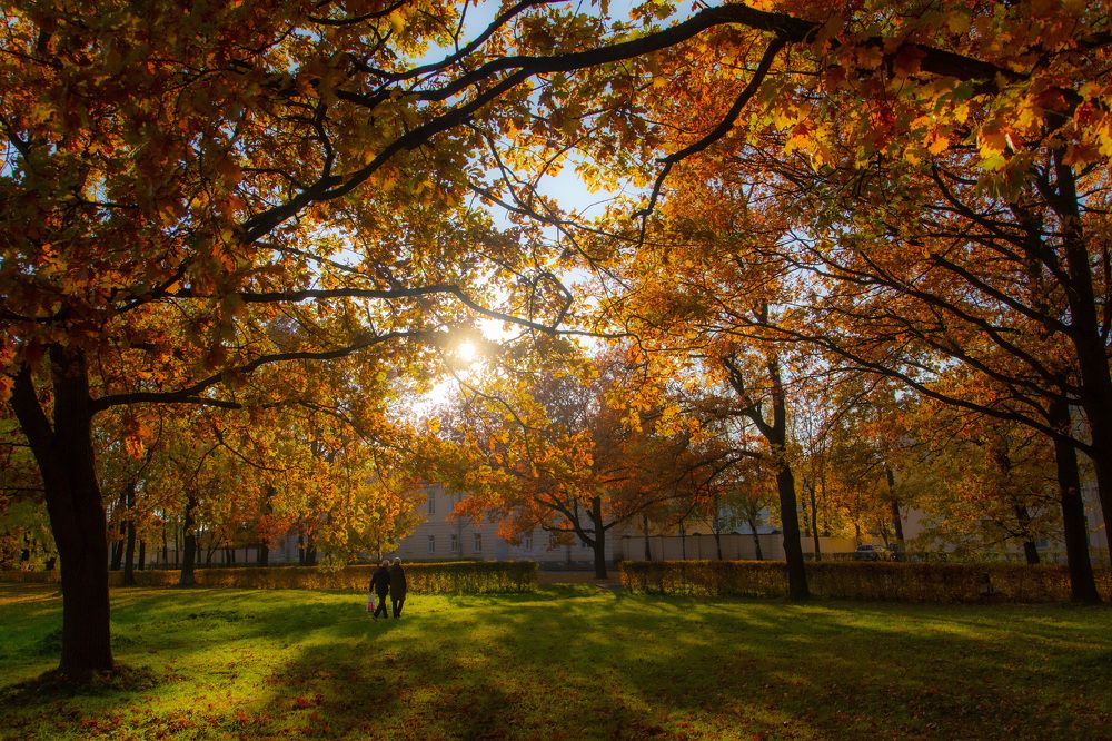 В старом парке.