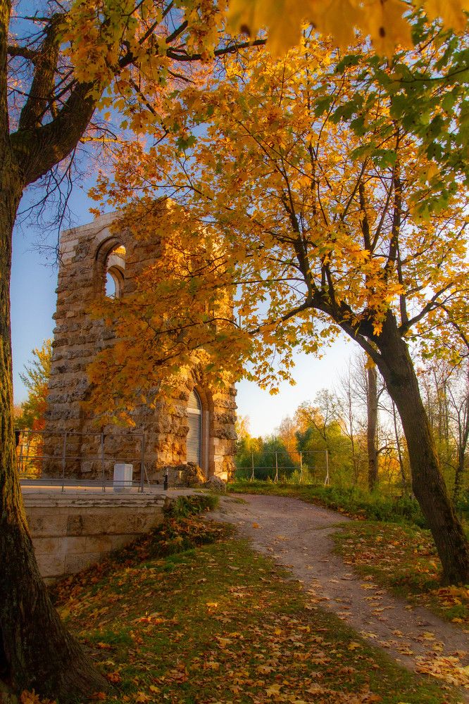 Photograph by Alexander Toropov