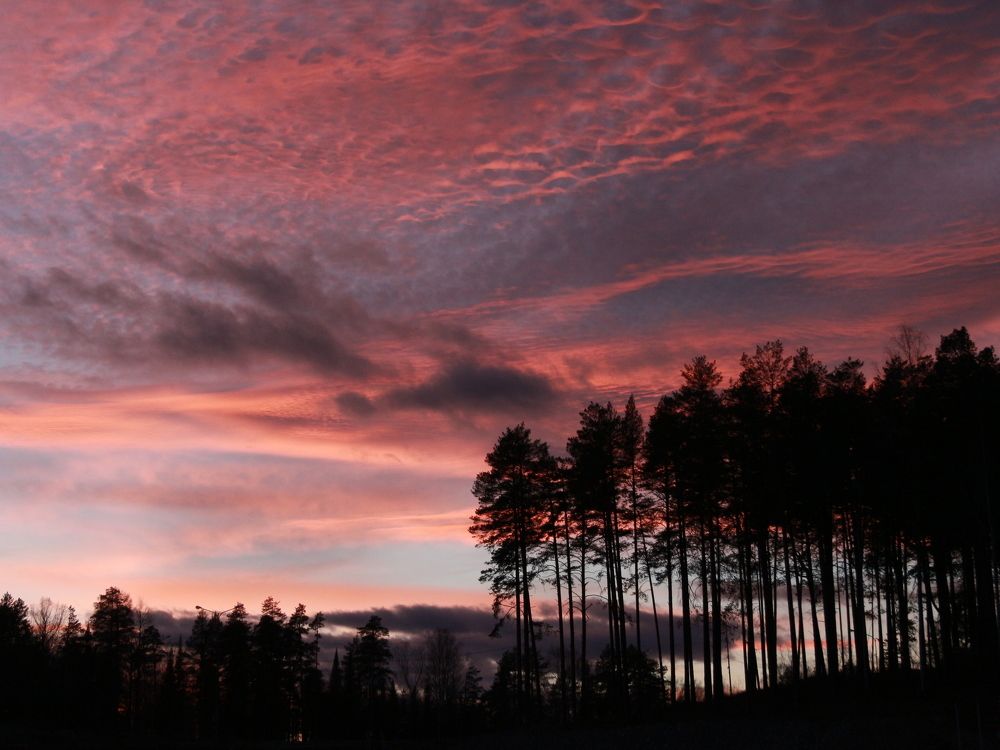 Photograph by Марина Беляева