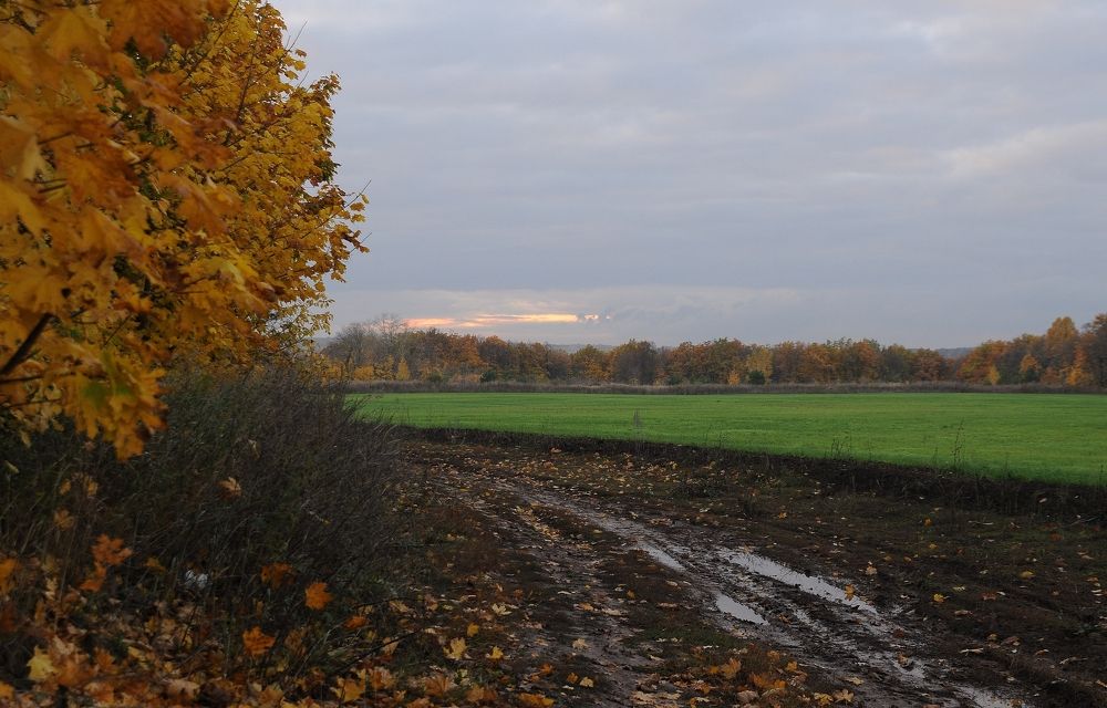 Photograph by Владимир