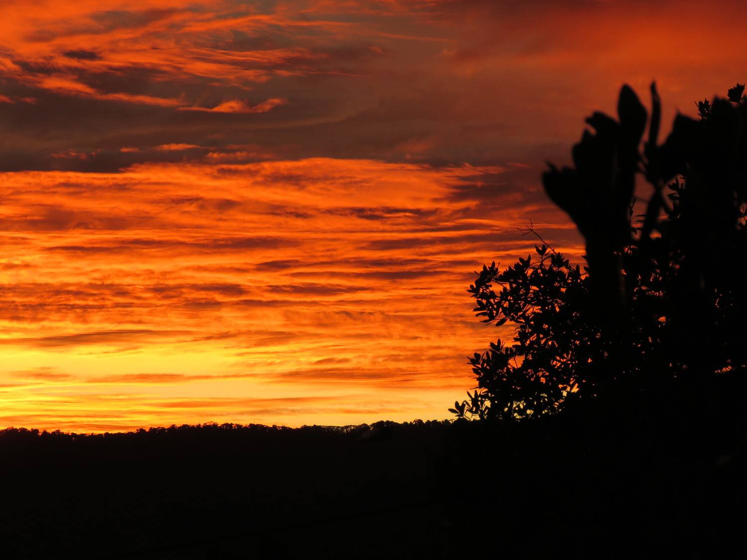 Photo #8287347