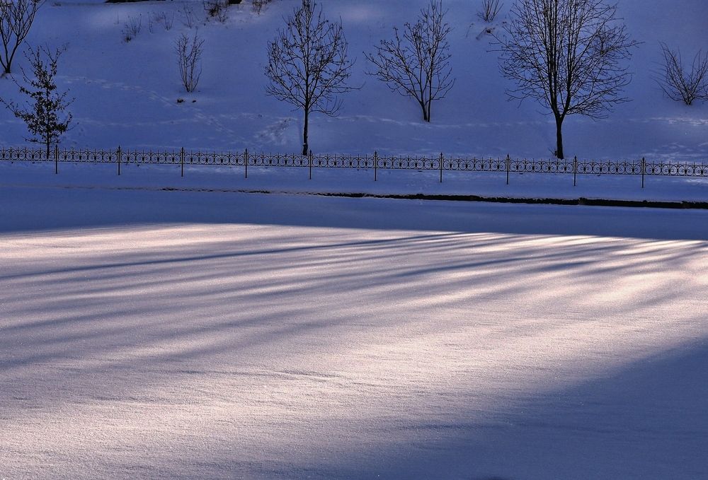 Photograph by Tatyana Markova