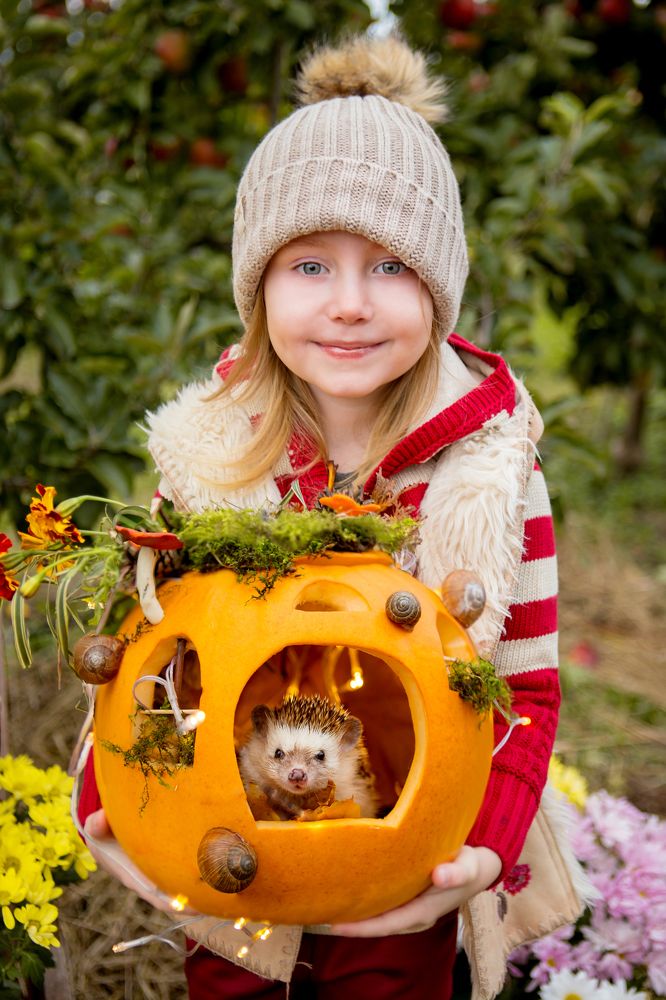 Photograph by Еловая Юлия