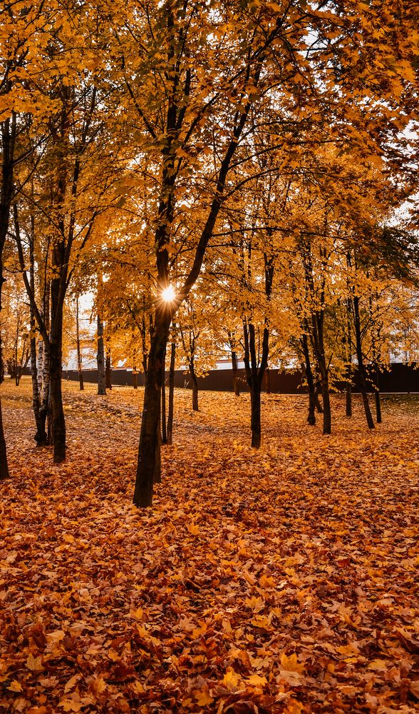 Photograph by Олеся Бронзова