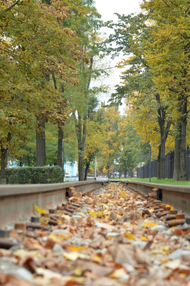 Photograph by Ольга Шевцова