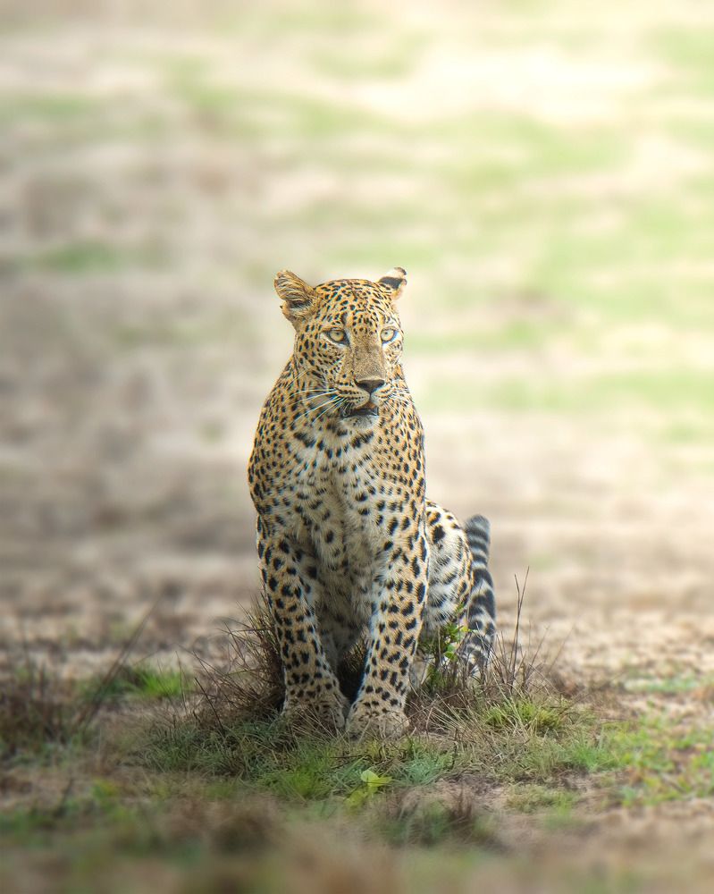 Photograph by Mohamed Raseem