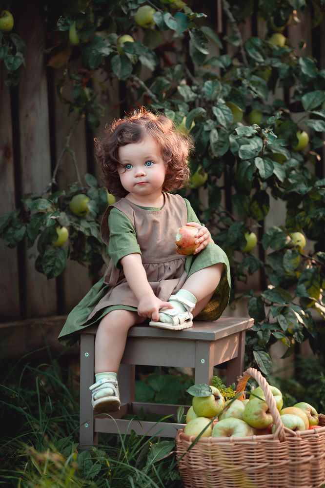 соберем урожай