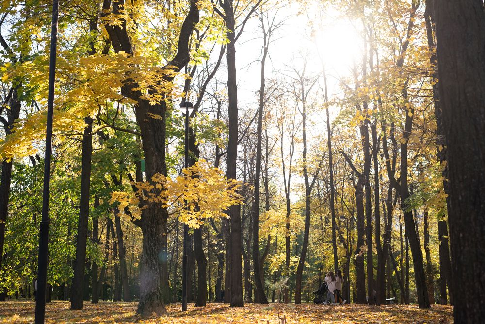 Photograph by Мария Артемова