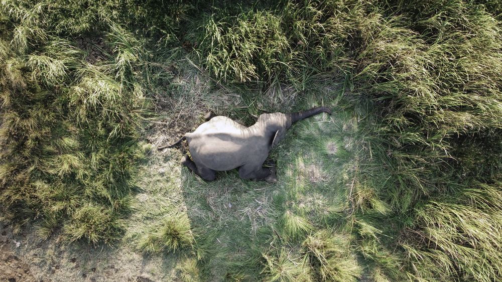 Photograph by Mohamed Raseem