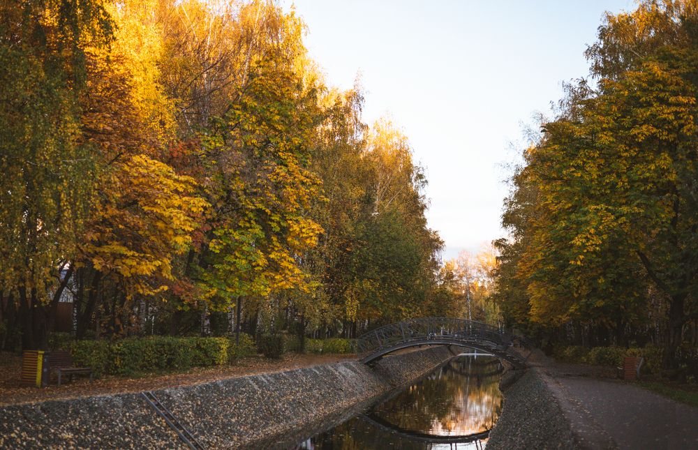 Photograph by Мария Артемова