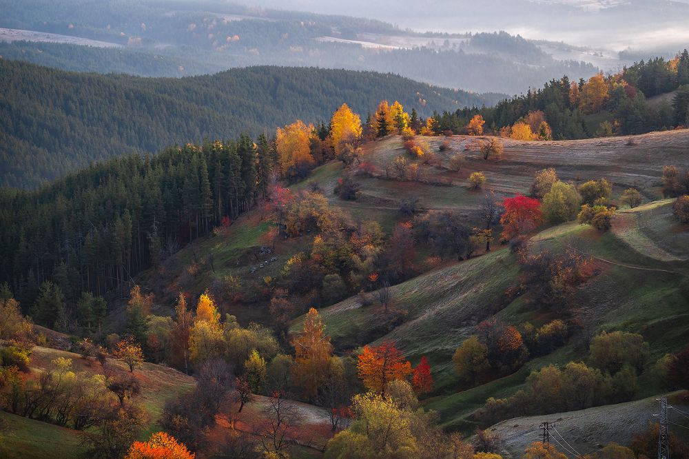 Autumn in Rhodopi mountain