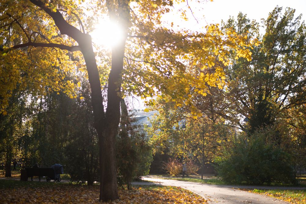 Photograph by Мария Артемова