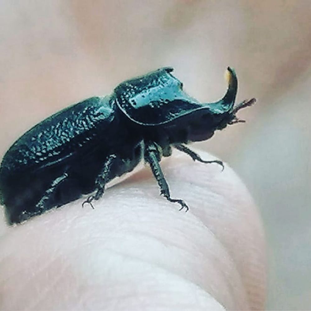 Photograph by Вячеслав Геннадьевич Усков