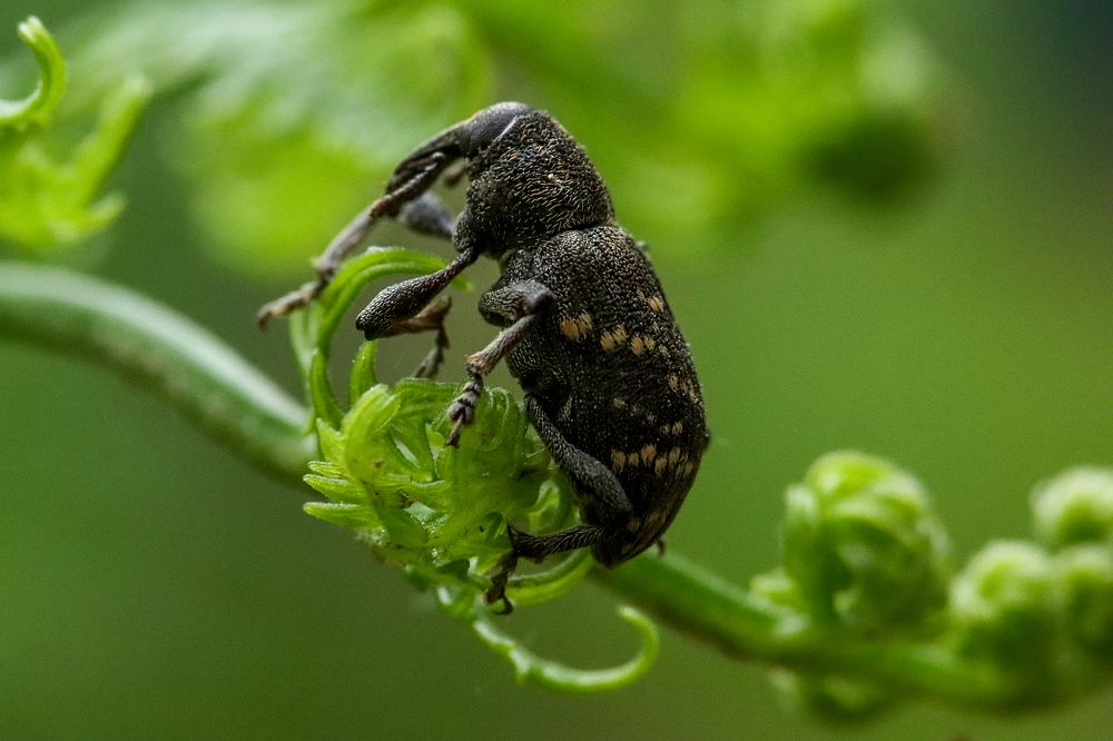 Photograph by Нина Шабанова