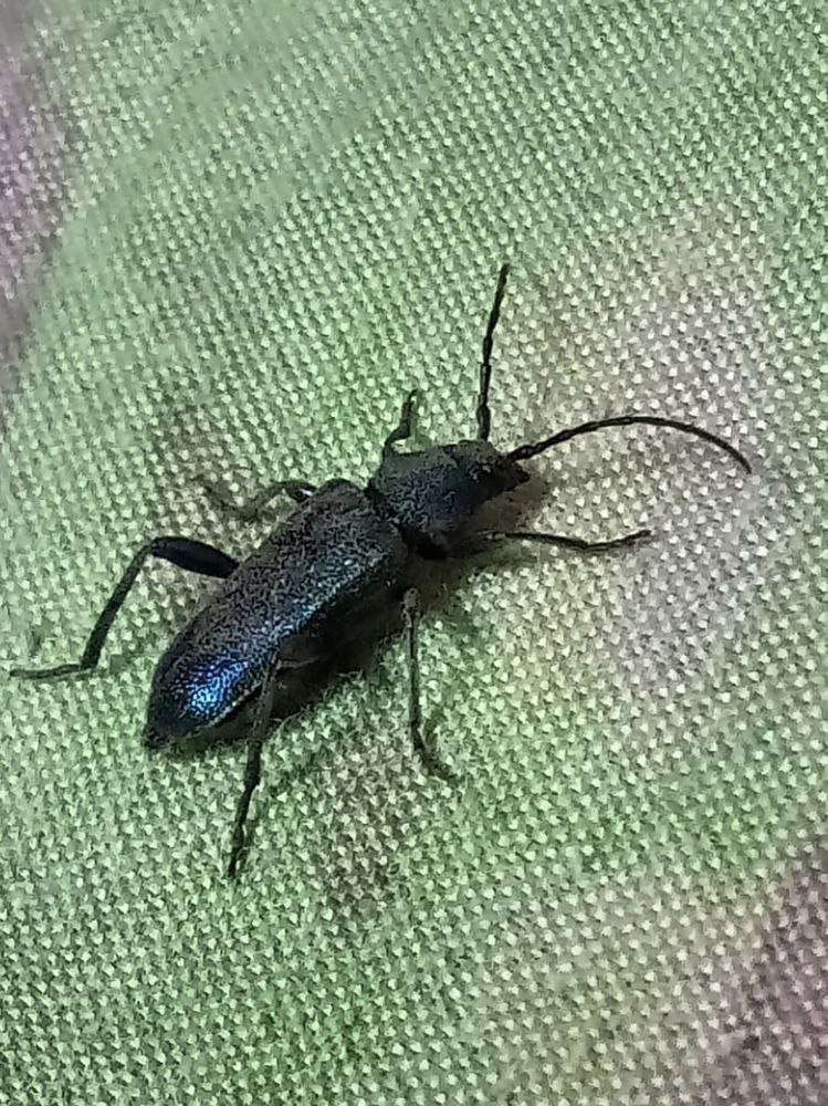 Photograph by Вячеслав Геннадьевич Усков