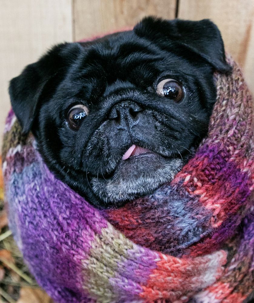 Photograph by Наталья Велиева