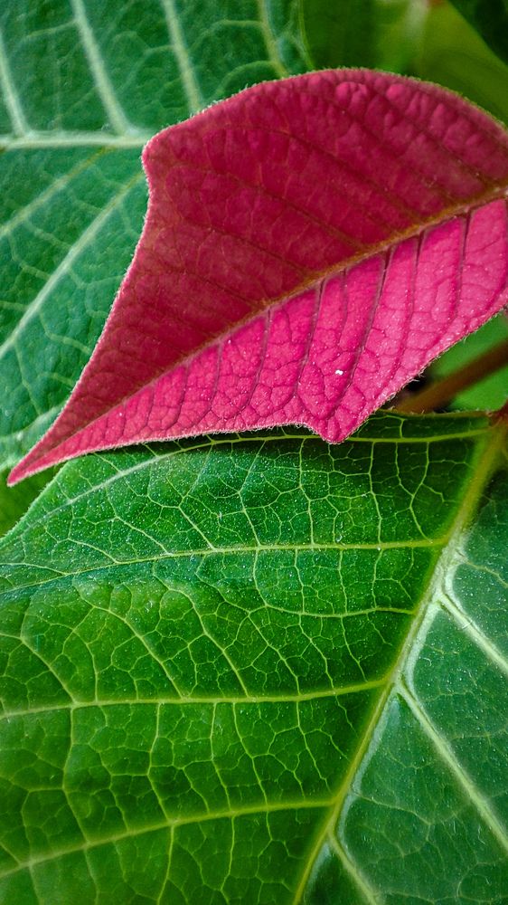 Фотография автора Ольга Неуймина