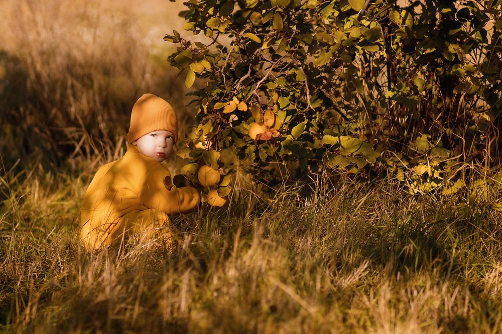 Photograph by Виктория Шакула