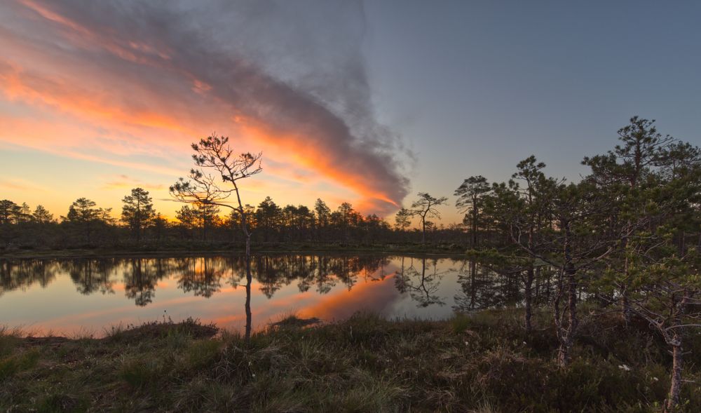 Photograph by Aleksei Degtjarjov