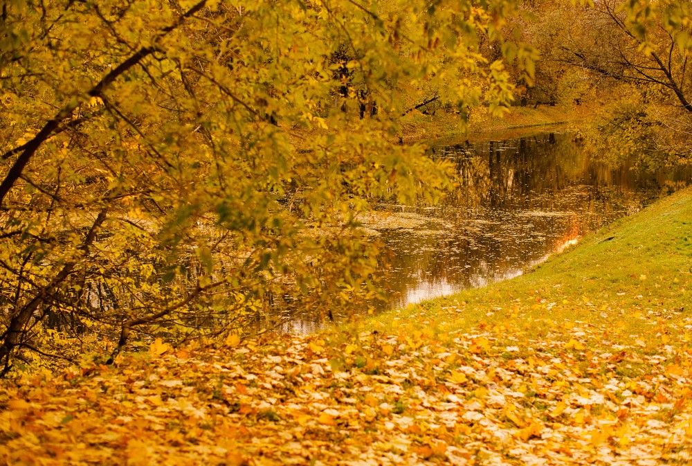 Photograph by Юлия Герман