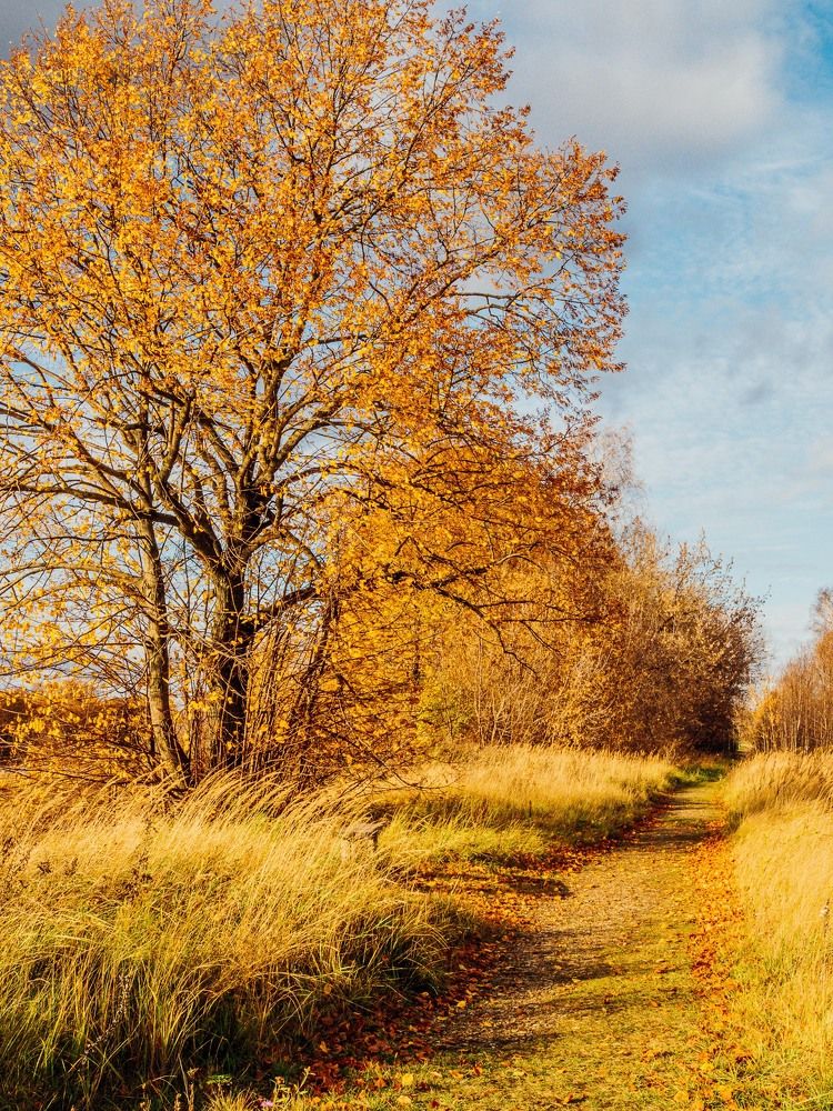 Photograph by Юлия Герман