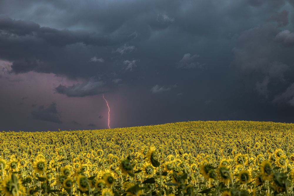 Photograph by Андрей Ларин