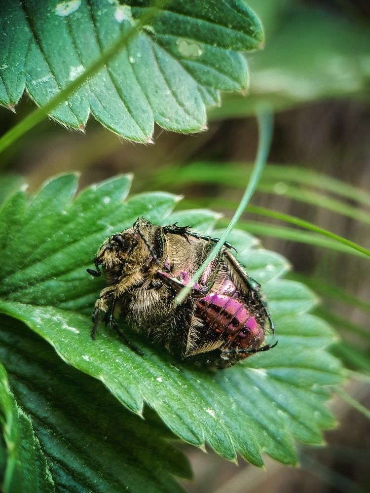 Фотография автора Марина Борисова
