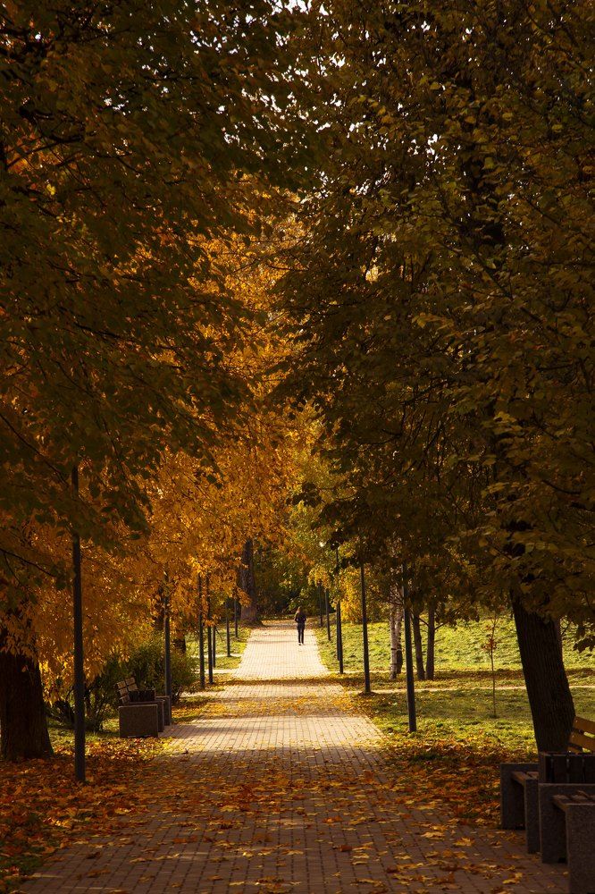 Photograph by Татьяна Мухлынина