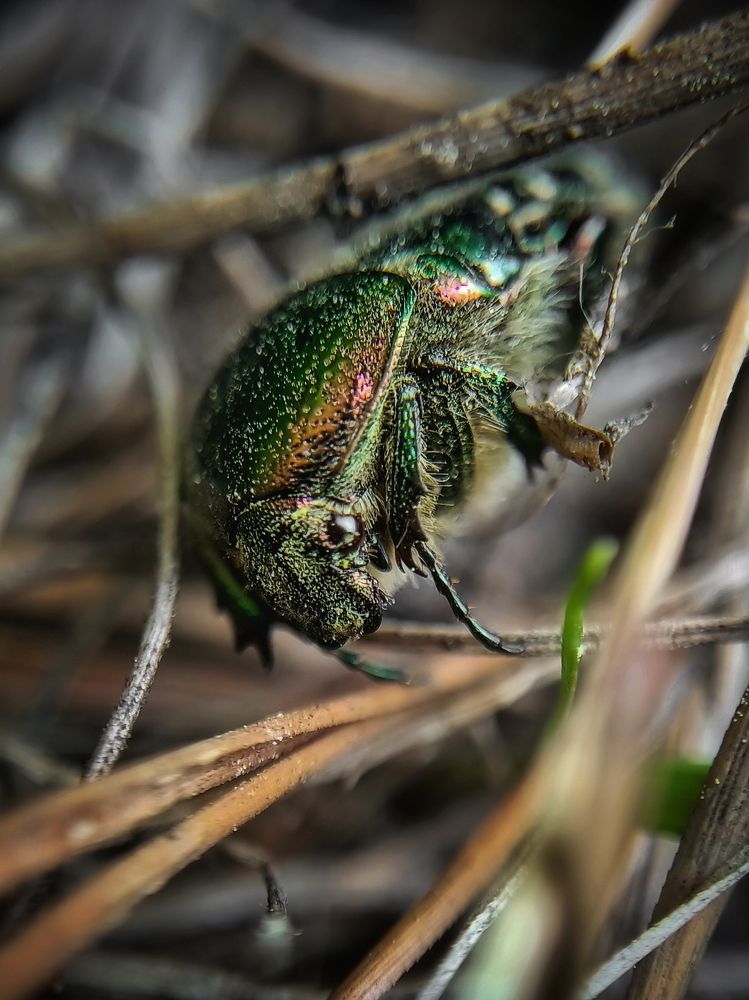 Фотография автора Марина Борисова
