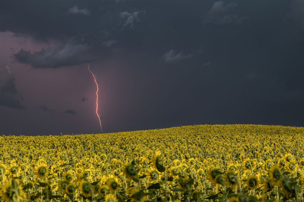 Photograph by Андрей Ларин