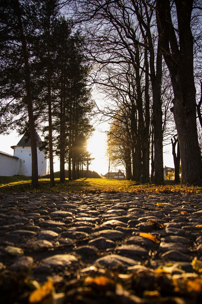 Photograph by Татьяна Мухлынина